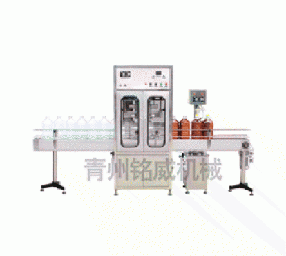 Z(B)DG-ZL全自動定量灌裝生產線